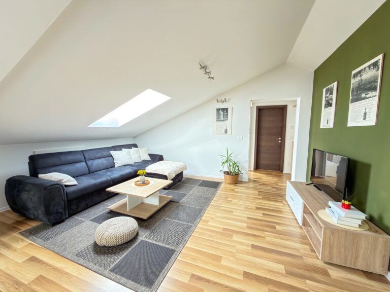 apartmnet istrasoley